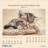 Stimmungsbild zu Worte des Lebens 2026 - Postkartenkalender