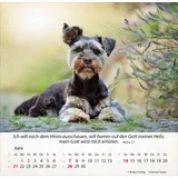 Stimmungsbild zu Hunde 2026 - Tischkalender