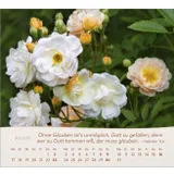 Stimmungsbild zu Rosen 2026 - Tischkalender