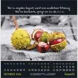 Stimmungsbild zu Kleine Wunder sehen 2026 - Postkartenkalender