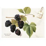 Stimmungsbild zu Postkartenbox "Meisterwerke des Schöpfers"