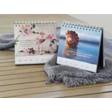 Stimmungsbild zu Schöne Aussichten 2026 - Aufstellkalender