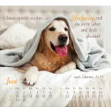 Stimmungsbild zu Sei gesegnet! 2026 - Tischkalender