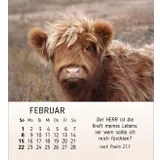Stimmungsbild zu Meine kleinen Freunde 2026 - Tischkalender