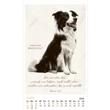 Stimmungsbild zu SchmuckStücke des Schöpfers 2026 - Posterkalender