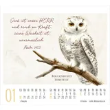 Stimmungsbild zu KunstWerke des Schöpfers 2026 - Minikalender