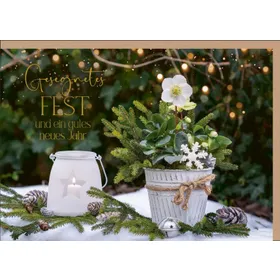 Produktbild des Artikels Faltkarte "Gesegnetes Fest" - Christrose (Schreibwaren)