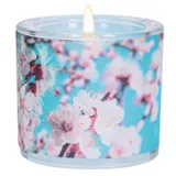 Stimmungsbild zu Windlicht LichtMomente "Frühling"