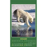 Stimmungsbild zu Hallo Du 2026 - Aufkleber-Kalender