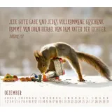 Stimmungsbild zu Du sorgst für mich 2026 - Postkartenkalender