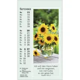 Stimmungsbild zu Sonne des Lebens 2026 - Aufstellkalender