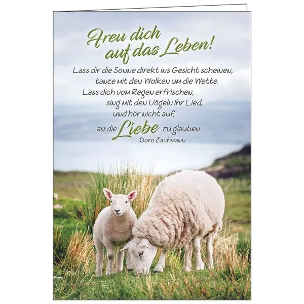 Produktbild des Artikels Faltkarte: Freu dich auf das Leben - Neutral (Schreibwaren)