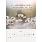 Stimmungsbild zu Zarte Blumengrüße 2026 - Tischkalender