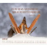 Stimmungsbild zu Du sorgst für mich 2026 - Postkartenkalender