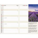 Stimmungsbild zu Agenda 2026