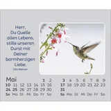 Stimmungsbild zu Hoffnung für jeden Tag 2026