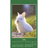 Stimmungsbild zu Hallo Du 2026 - Aufkleber-Kalender