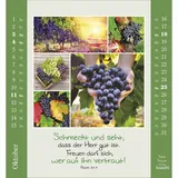 Stimmungsbild zu Kleine Freuden 2026 - Aufstellkalender