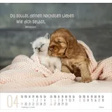 Stimmungsbild zu Beste Freunde 2026 - Posterkalender