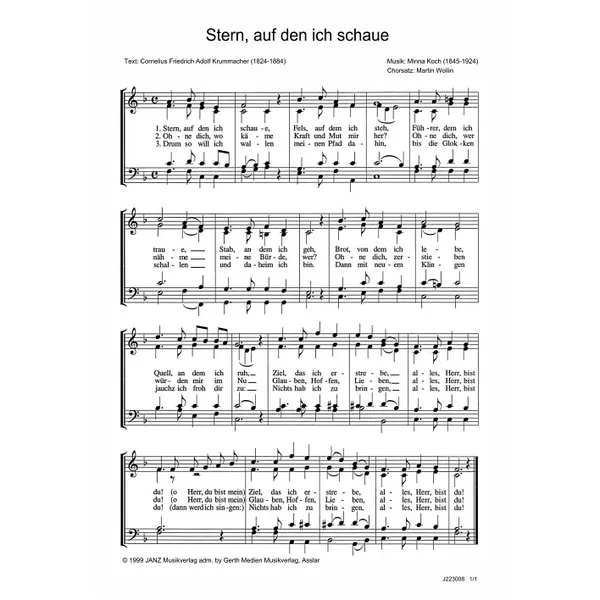 Produktbild des Artikels Stern, auf den ich schaue (Noten - Download)