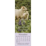 Stimmungsbild zu Sei behütet jeden Tag 2026 - Lesezeichen-Kalender