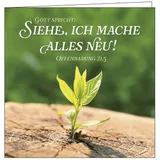 Stimmungsbild zu Jahreslosung 2026 - Lichtgruß