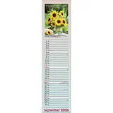 Stimmungsbild zu Viel Glück und viel Segen auf all deinen Wegen 2026