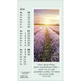 Stimmungsbild zu Sonne des Lebens 2026 - Aufstellkalender