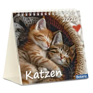 Produktbild des Artikels Katzen 2026 - Tischkalender (Kalender - Spiralbindung)