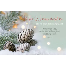 Produktbild des Artikels Faltkarte "Frohe Weihnachten" - Titus 2,11 (Schreibwaren)