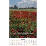 Stimmungsbild zu Das Heilige Land 2026 - Wandkalender