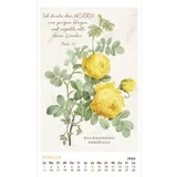 Stimmungsbild zu SchmuckStücke des Schöpfers 2026 - Posterkalender