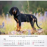 Stimmungsbild zu Hunde 2026 - Tischkalender