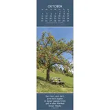 Stimmungsbild zu Gedanken des Friedens 2026 - Wandkalender