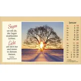 Stimmungsbild zu Der kleine Begleiter 2026 - Aufstellkalender