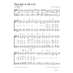 Produktbild des Artikels Meine Seele ist stille in dir (Noten - Download)