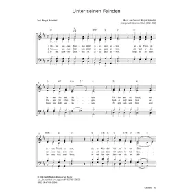 Produktbild des Artikels Unter seinen Feinden (Noten - Download)