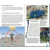 Stimmungsbild zu Die ersten Gipfelstürmer