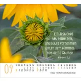 Stimmungsbild zu Atempause 2026 - Minikalender