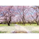 Stimmungsbild zu Sei beschützt und geborgen