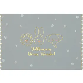 Produktbild des Artikels Faltkarte "Willkommen kleines Wunder!" (Schreibwaren)