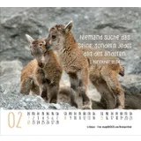 Stimmungsbild zu Begegnungen 2026 - Minikalender