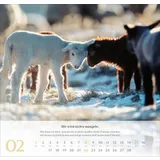 Stimmungsbild zu Psalm 23 - Wandkalender 2026