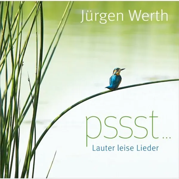 Produktbild des Artikels pssst ... Lauter leise Lieder (MP3-Album - Download)
