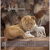 Stimmungsbild zu Die Liebe bleibt bestehn 2026 - Postkartenkalender