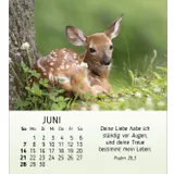 Stimmungsbild zu Meine kleinen Freunde 2026 - Tischkalender