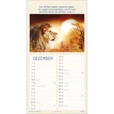 Stimmungsbild zu Meine Zeit in seinen Händen 2026