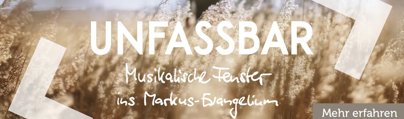 Bild zum Beitrag - Unfassbar