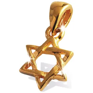Produktbild des Artikels Anhänger Davidstern - 11mm ()