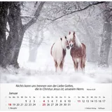 Stimmungsbild zu Pferde 2026 - Tischkalender